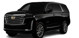 Untitled_design__7_-removebg-preview