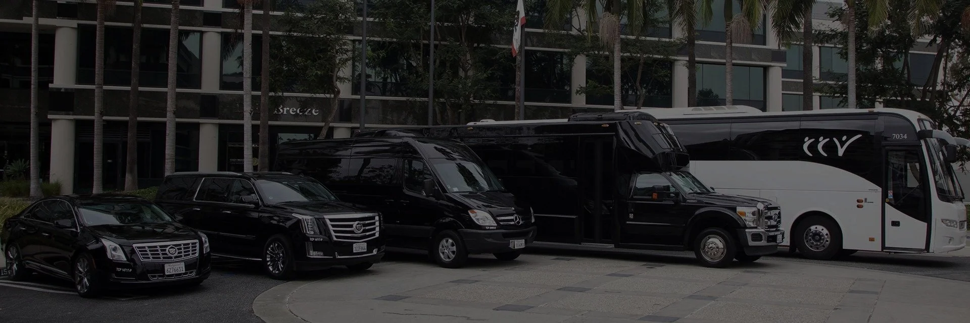 Hotel to Venue Shuttle Service