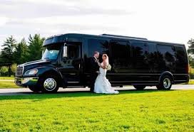 Wedding Party Transportation
dmv